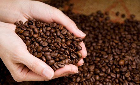 「コーヒー豆」の画像検索結果