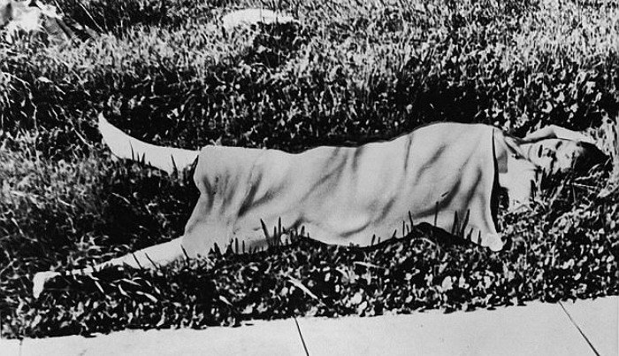 閲覧注意 未解決事件 女優志望女性の切断殺人事件に隠された秘密 Hachibachi 閲覧注意 未解決事件 女優志望女性の切断殺人事件に隠された秘密 Hachibachi