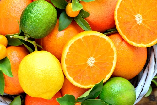 「柑橘類」の画像検索結果