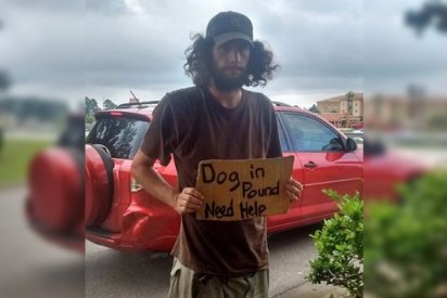 woman pays saves homeless dog 412x275.png?resize=412,275 - Woman Helped Homeless Man Find His Dog After He Pleaded For Help