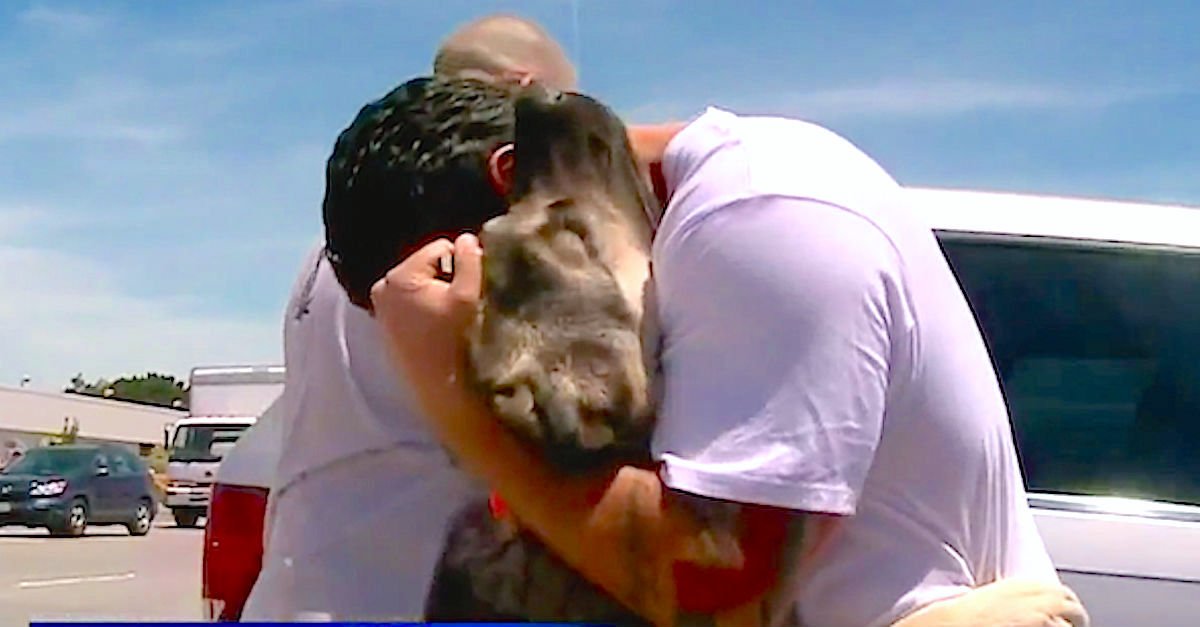 2 331.jpg?resize=1200,630 - Soldier Saved A Puppy Before Leaving Iraq, One Month Later The Two Reunited!
