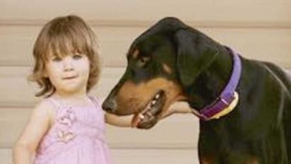 doberman tosses toddler 1 412x232.jpg?resize=412,232 - Her Dog Suddenly Grabs Her Out of Nowhere And Tosses Her Across The Yard