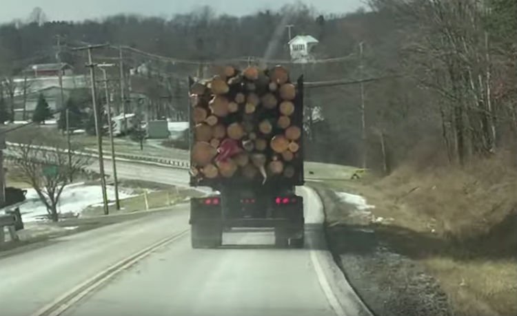 log 1.jpg?resize=1200,630 - Truck Loaded With Logs Caught On Camera Tipping Over In Front Of Driver