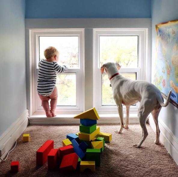 Archie and Nora look out the window