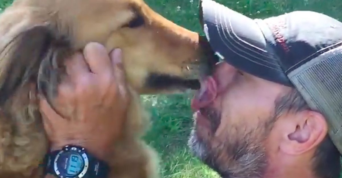 Kali Rescue B.jpg?resize=1200,630 - Man Drives 20 Hours To Get A Kiss From His Dog That He Thought Was Dead