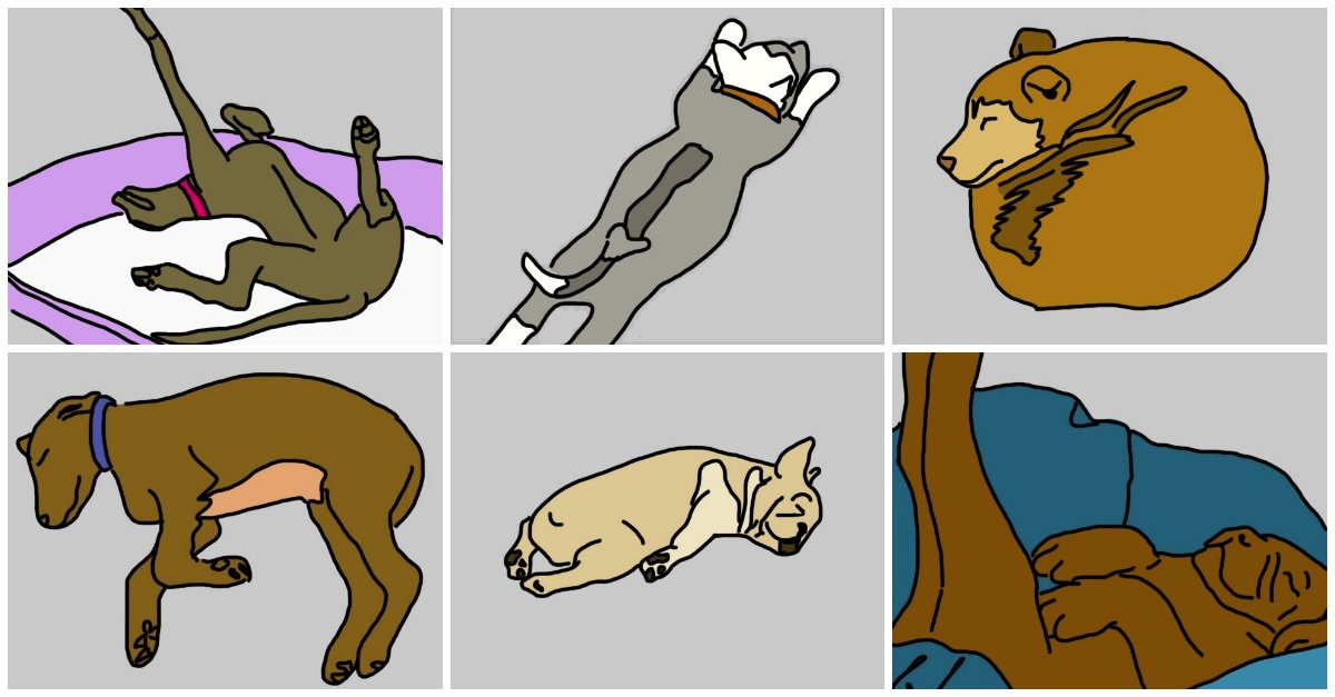 PicMonkey Collage.png?resize=1200,630 - Six Dog Sleeping Positions That Can Reveal A Lot About The Character Of Your Pet
