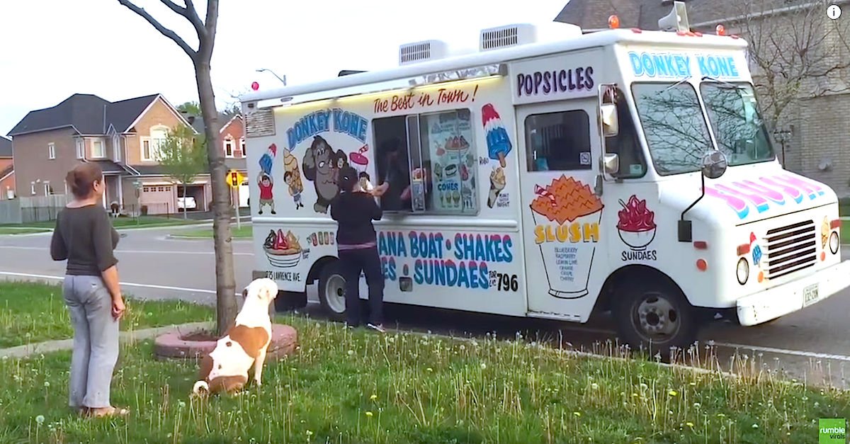 Screen Shot 2016 05 27 at 9.jpg?resize=1200,630 - Adorable Pit Bull Waited Patiently For His Delicious Ice Cream