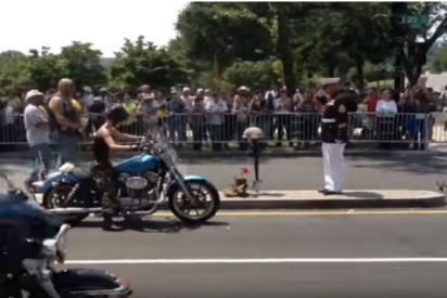 biker salute cover 412x275.jpg?resize=412,275 - Marine With Broken Wrist Stood Alone And Saluted For Hours To Commemorate Fallen Veterans