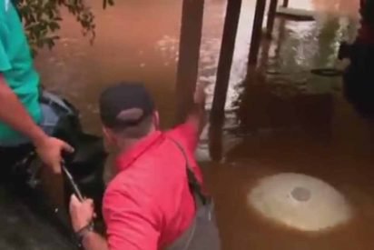 dog is saved by news crew 412x275.jpg?resize=412,275 - News Crew Saved Chained Dog Left Behind By Owners During Flooding