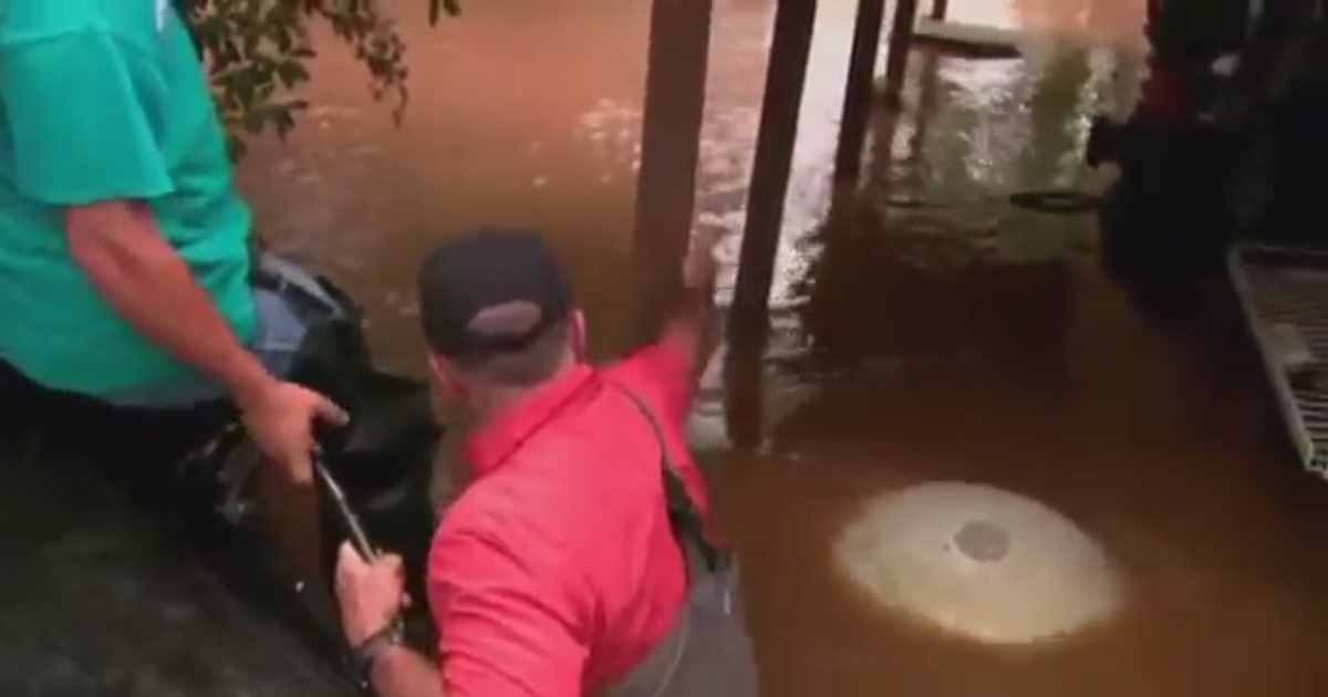 dog is saved by news crew.jpg?resize=1200,630 - During Record Flooding News Crew Sees Her Struggling To Stay Above the Water... Then They Do Something INCREDIBLE!