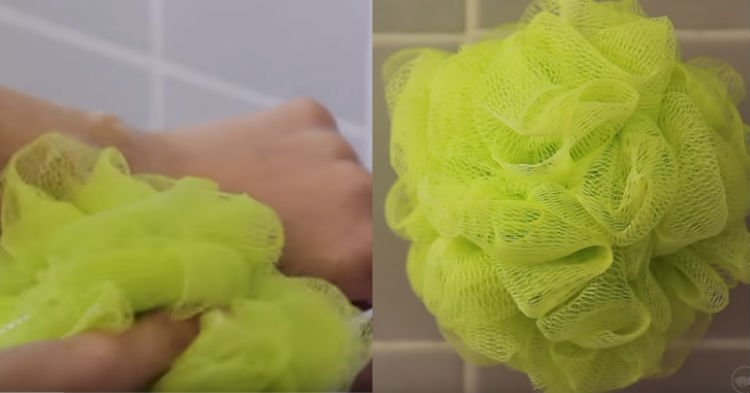 http awm.comwp contentuploadssites24201609gbnm.jpg?resize=1200,630 - Quick! Throw Away Your Loofah Right Now To Prevent Bacterial Infections!