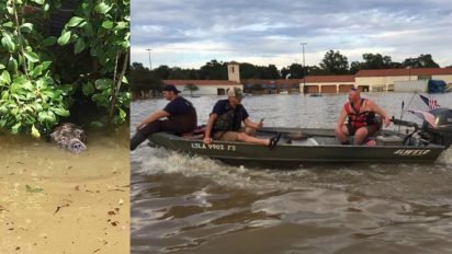 louisiana rescuers take action 412x232.jpg?resize=412,232 - Rescuers Saved Drowning Dog After Spotting Him Catching His Final Breaths