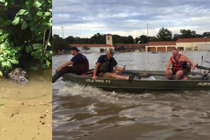 louisiana rescuers take action 412x275.jpg?resize=412,275 - Rescuers Saved Drowning Dog After Spotting Him Catching His Final Breaths