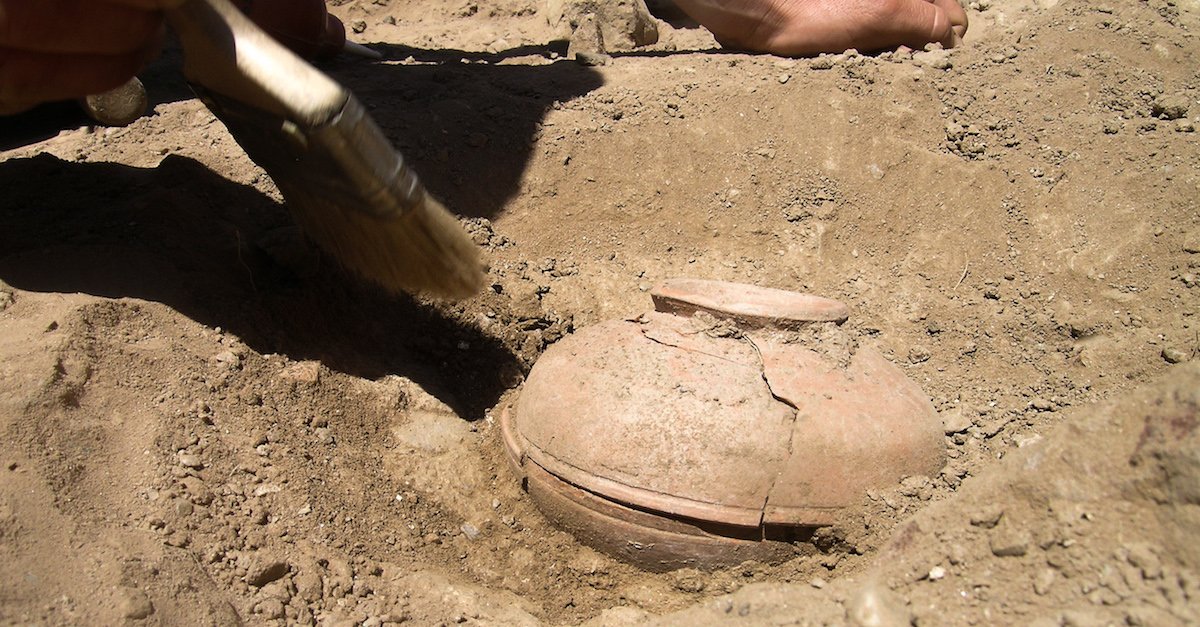 squash 11 1.jpg?resize=1200,630 - Archaeologists Discovered 800-Year-Old Seeds Preserved In An Ancient Clay Pot