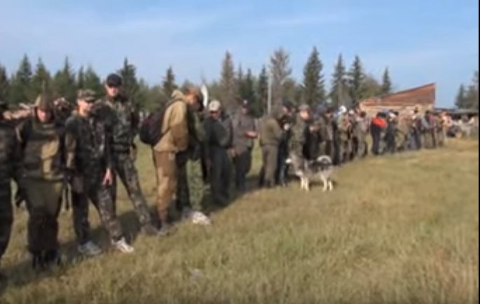 Town Thinks Missing Girl Is Dead. 11 Days Later, When The Rescue Team Follows This Dog Into The Woods... 2017 01 11 오후 3.13.35 - Town Thinks Missing Girl Is Dead. 11 Days Later, When The Rescue Team Follows This Dog Into The Woods...