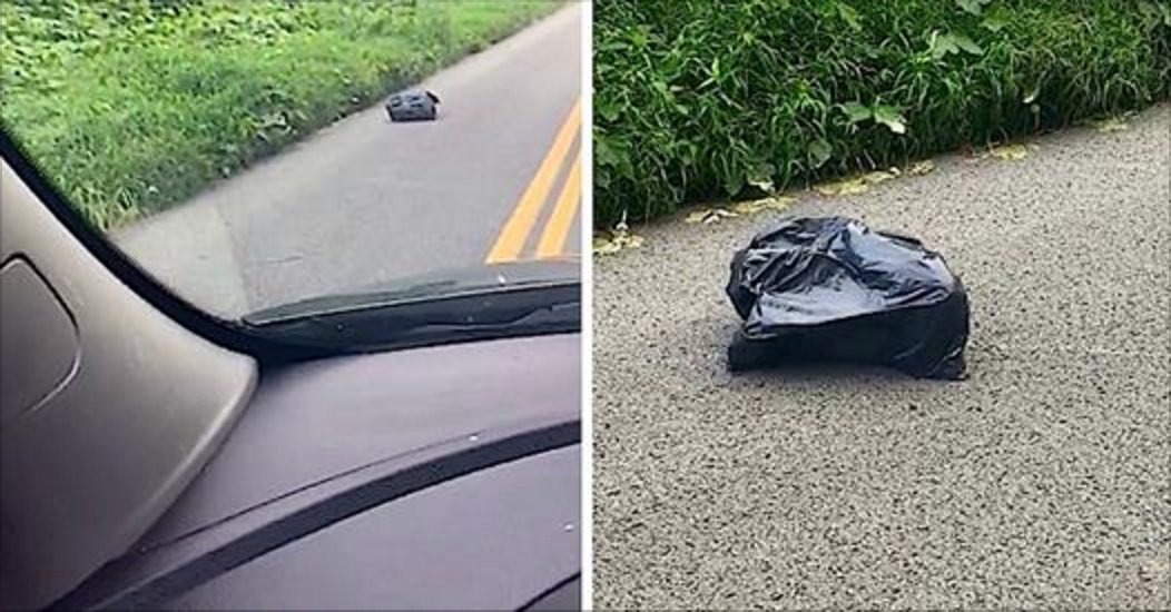 Momspotstrashbag.png?resize=412,275 - Mother Found A ‘Walking’ Trash Bag In The Middle Of The Road