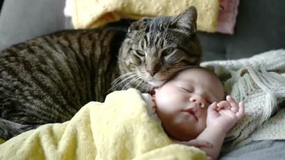 catbaby 412x232.jpg?resize=412,232 - Senior Cat Shares Very Strong Bond With Adorable Baby Girl
