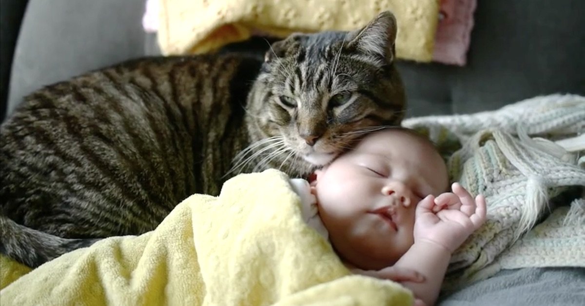 catbaby.jpg?resize=1200,630 - Senior Cat Shares Very Strong Bond With Adorable Baby Girl