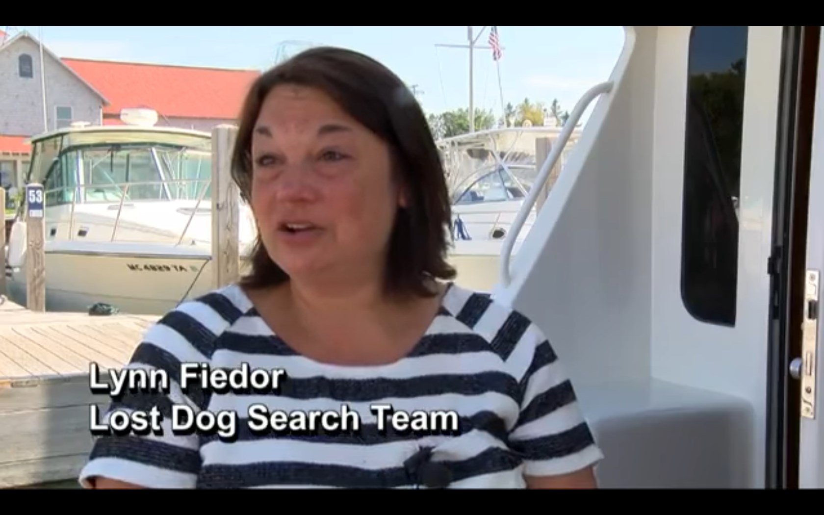 Dog Swims 6 Miles After Falling Overboard, Walks Another 12 To Reunite With Her Family chrome 2017 01 07 15 40 00 - Dog Swims 6 Miles After Falling Overboard, Walks Another 12 To Reunite With Her Family