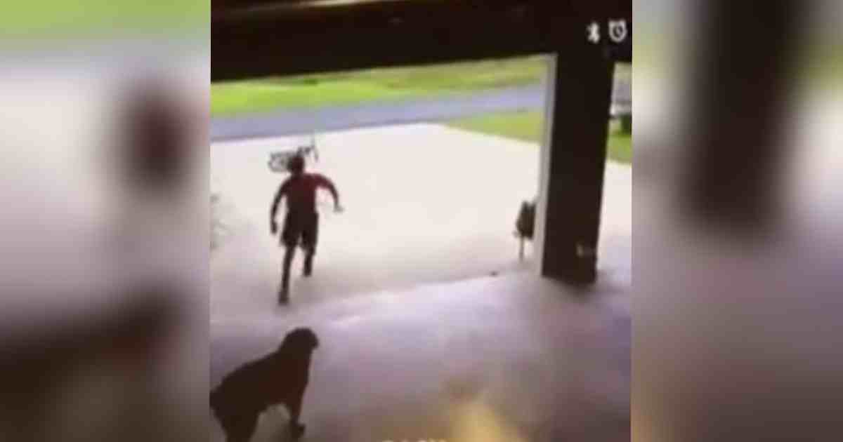 boy sneaks into garage.jpg?resize=1200,630 - Woman Caught A Little Boy Sneaking Into Her Garage, He Then Gave Her Dog A Hug