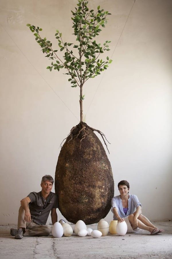Image via Capsula Mundi / Facebook