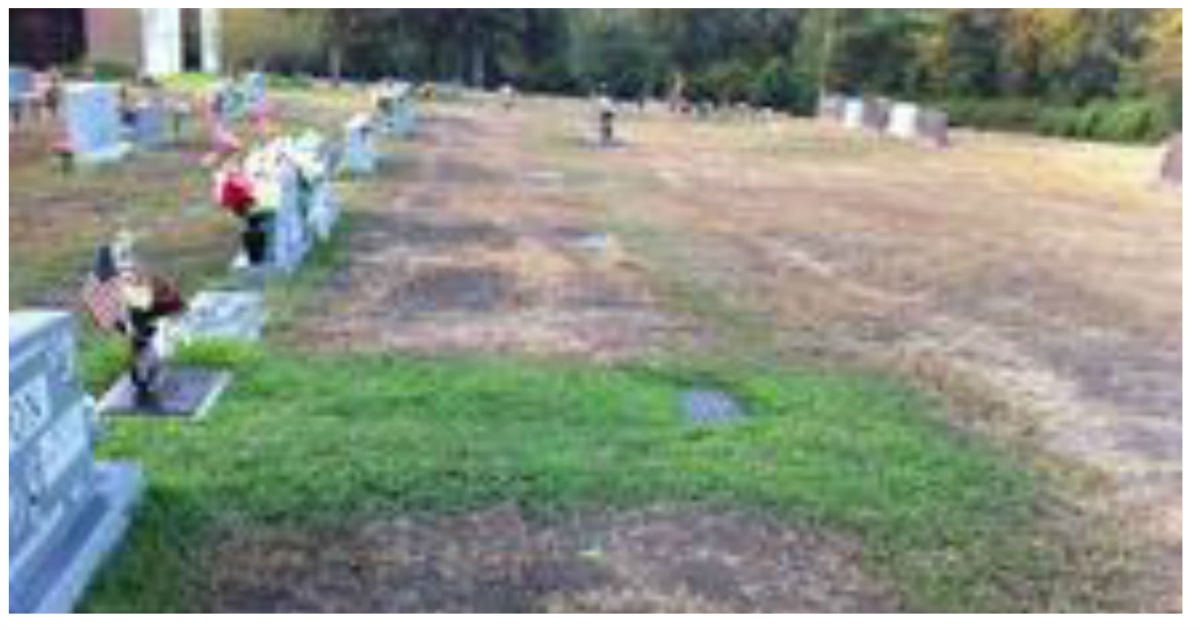 grave miracle.jpg?resize=1200,630 - Mother Discovered A Stranger Had Been Watering Her Son's Grave