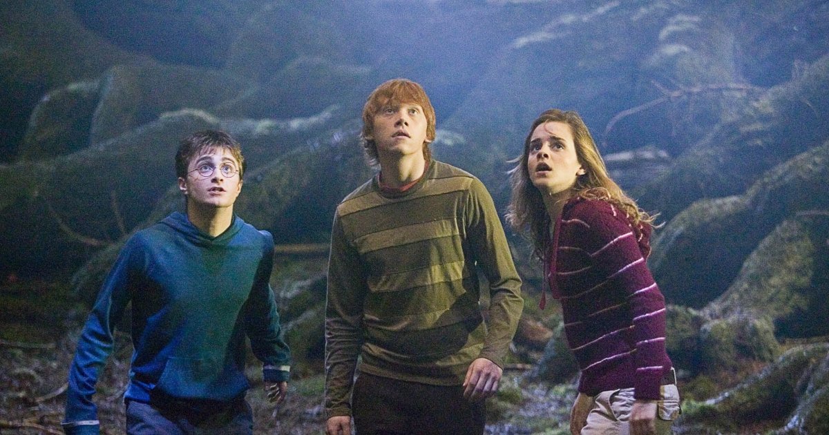harry potter foret interdite hermione ron.jpg?resize=1200,630 - [NEWS] La Forêt Interdite de Poudlard ouvre ses portes à Londres !
