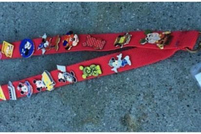 mickey pins cover 412x275.jpg?resize=412,275 - Disneyland Employee Desperately Looks For The Owner When She Finds Lanyard with THIS Note