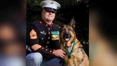 semper fido 412x232.jpg?resize=412,232 - One Heroic Dog Never Let A Single Soldier Get Injured On Her Watch