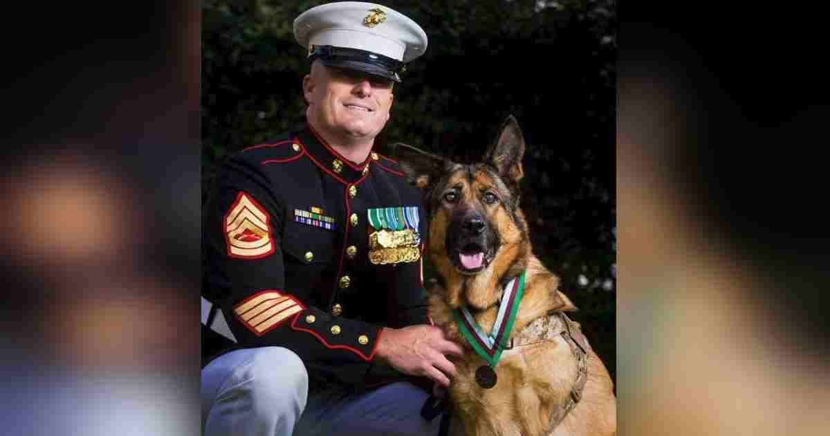 semper fido.jpg?resize=1200,630 - One Heroic Dog Never Let A Single Soldier Get Injured On Her Watch