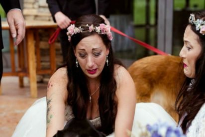 bride cries dying dog cover 412x275.jpg?resize=412,275 - Bride Walks Down The Aisle, But Seconds Later, She Sees THIS And Falls To The Ground To Cry