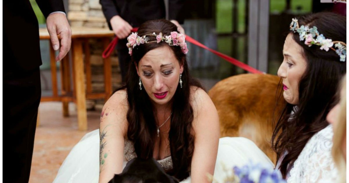 bride cries dying dog cover.jpg?resize=1200,630 - Bride Walked Down The Aisle And Broke Down In Tears After Seeing Her Dog