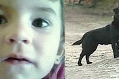 herodog 412x275.jpg?resize=412,275 - 3-Year-Old Girl Went Missing On Freezing Night, A Stray Dog Kept Her Safe And Warm