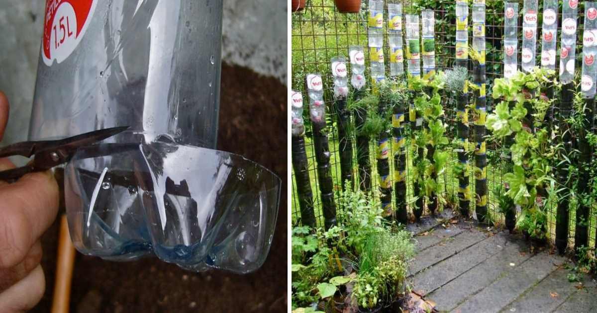 bottle tower gardens.jpg?resize=1200,630 - Man Cut Off The Bottom Of Soda Bottles And Stacked Them Up To Make A Garden Full Of Vegetables