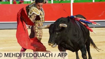 corrida1 412x232.jpg?resize=412,232 - La pétition de 30 Millions d’Amis pour interdire la Corrida en France