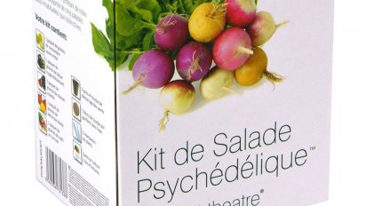 sans titre 11 1 412x232.png?resize=412,232 - Le kit de Salade Psychédélique à cultiver soi-même !