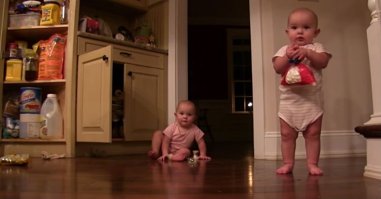btyd.jpg?resize=1200,630 - Twins Steal Bag Of Marshmallows From Pantry. But It’s Their Next Move That’s Going Viral