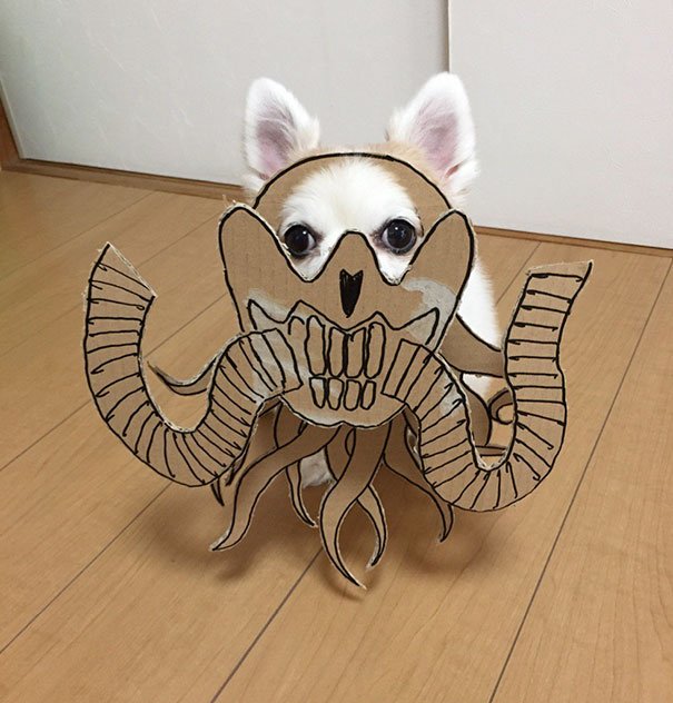 dog-costume-cardboard-cutouts-myouonnin-24-580f541d4c043__605