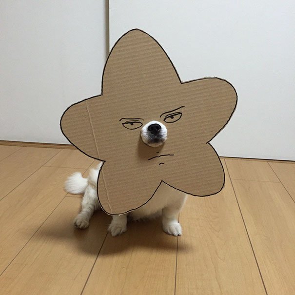 dog-costume-cardboard-cutouts-myouonnin-33-580f543302db5__605