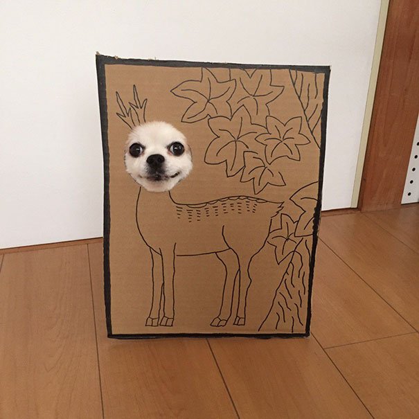 dog-costume-cardboard-cutouts-myouonnin-39-580f5440526b9__605