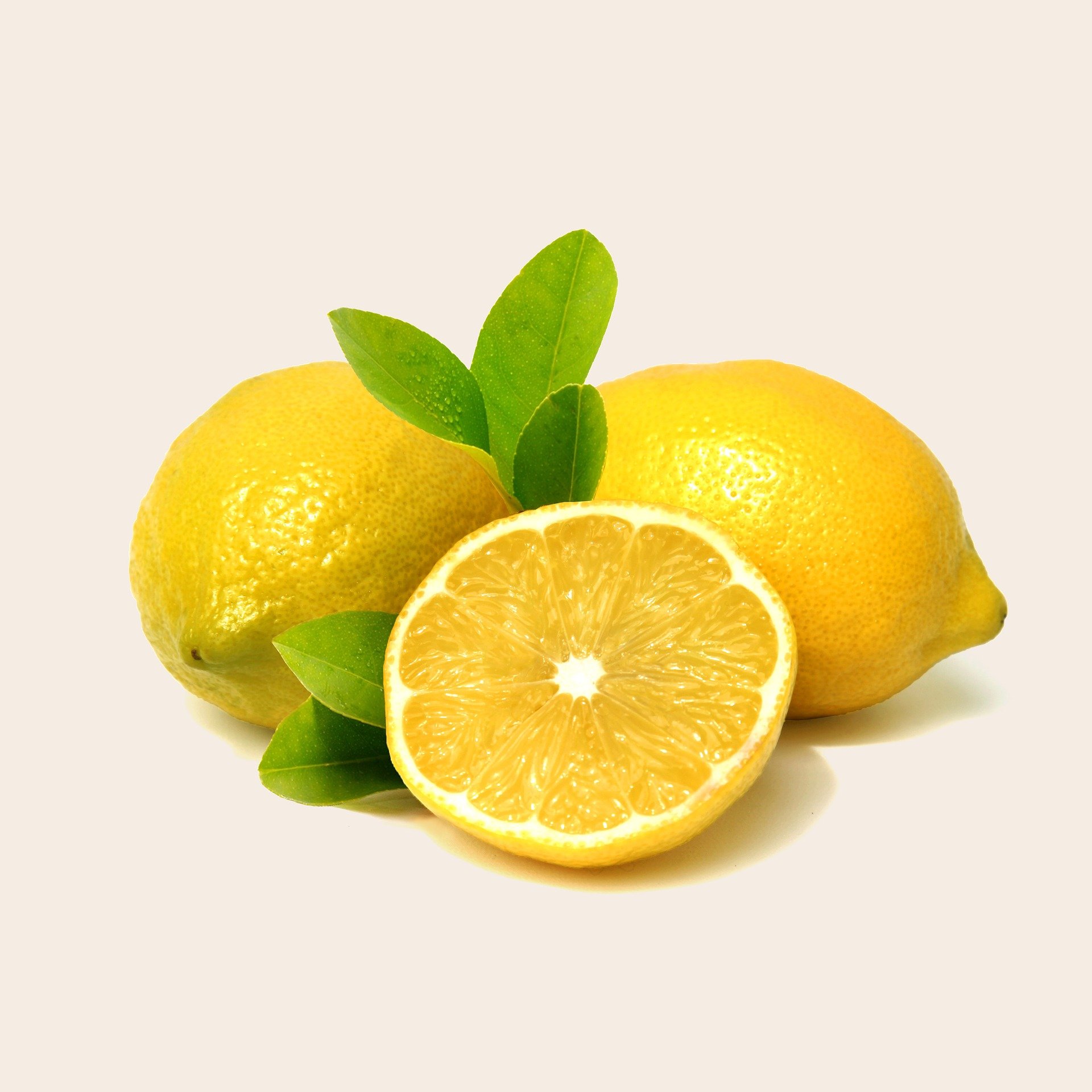 두통으로 고생하는 애인에게 만들어주기 좋은 '라벤더-레모네이드' 주스 lemon 2409365 1920 1024x1024 - 두통으로 고생하는 애인에게 만들어주기 좋은 '라벤더-레모네이드' 주스