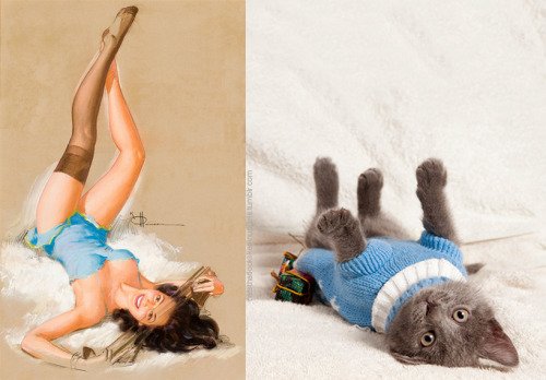 14 1 - 20+ Cats That Look Like Pinup Girls