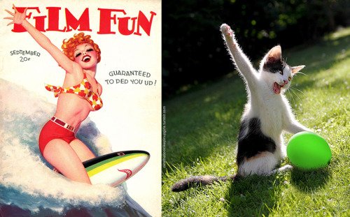 2 20 - 20+ Cats That Look Like Pinup Girls