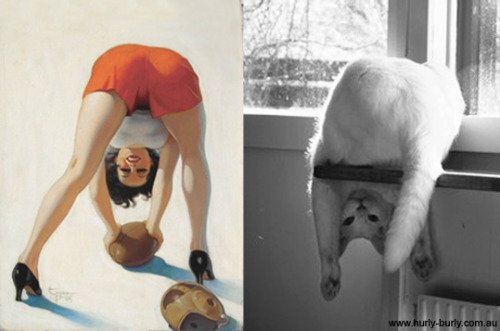 24 1 - 20+ Cats That Look Like Pinup Girls