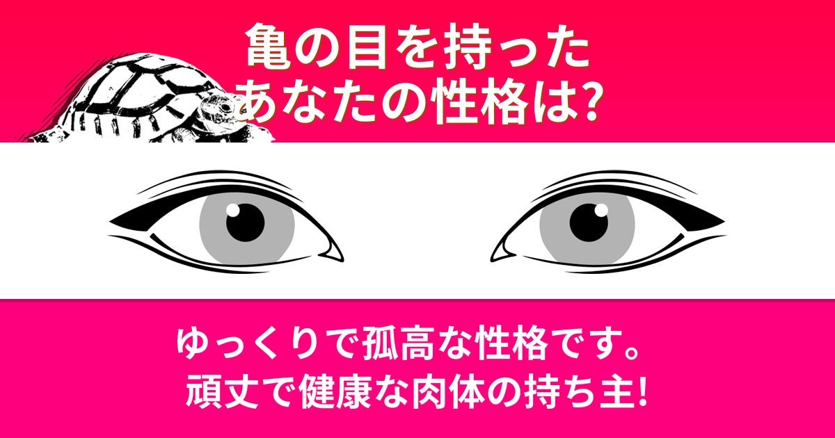 診断 目 で調べるあなたの内面とは Hachibachi