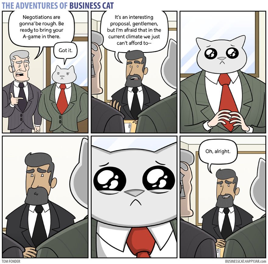 5 6 - What if your BOSS was a CAT? (10+ genius photos)