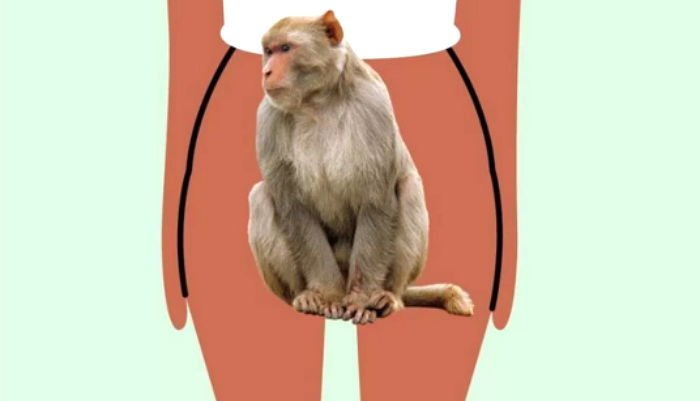남녀 성기를 지칭하는 특이한 전세계 '성기' 은어 5e0129o8l7ip50q89dc2 - 남녀 성기를 지칭하는 특이한 전세계 '성기' 은어