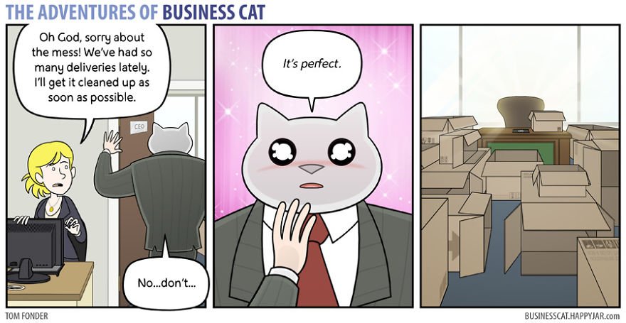 7 5 - What if your BOSS was a CAT? (10+ genius photos)