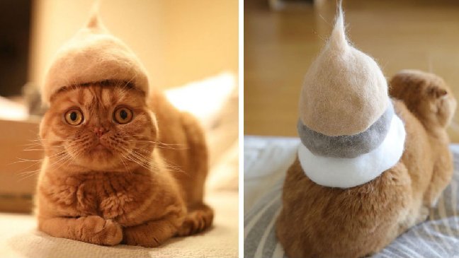 cat hat 1.jpg?resize=412,275 - Cats Wear Hats And They Are The Best! (10+ Photos)