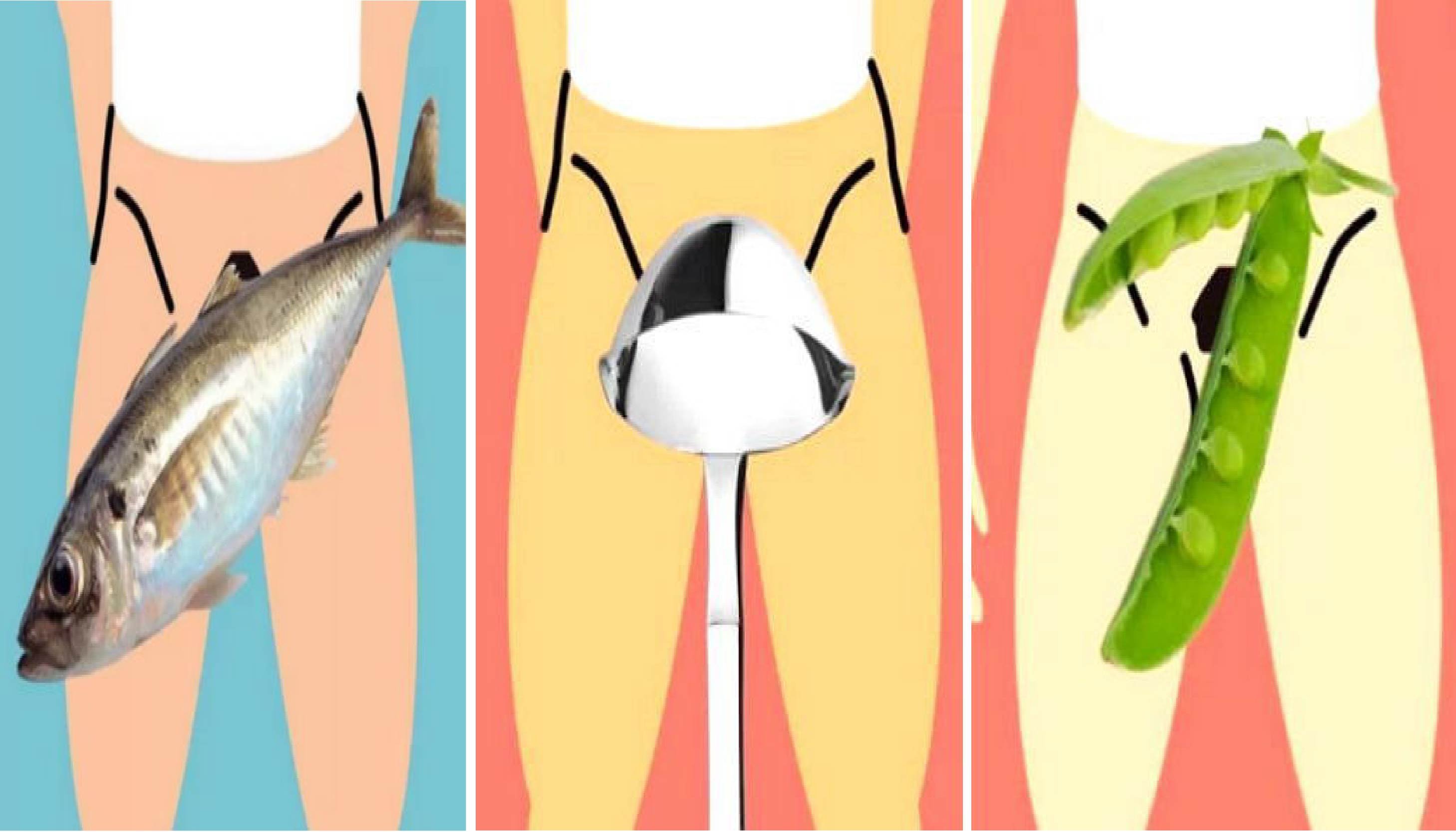 남녀 성기를 지칭하는 특이한 전세계 '성기' 은어 desktop 01 1024x585 - 남녀 성기를 지칭하는 특이한 전세계 '성기' 은어